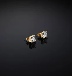CLASSIC BIG EARRINGS