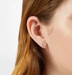 CLASSIC EARRINGS