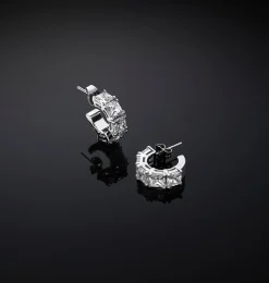 CLASSIC HOOP EARRINGS