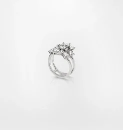 SILVER BIG RING